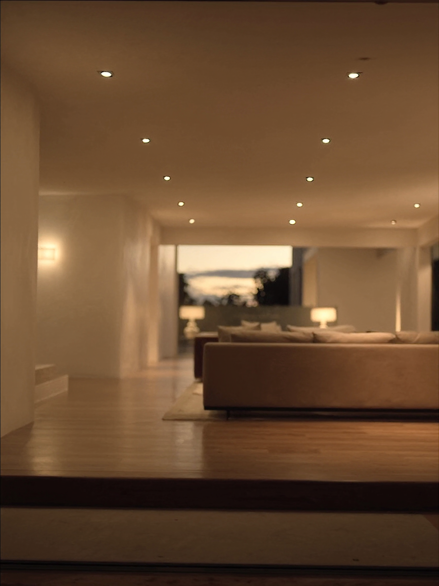 Downlights — 17 downlights with placement consult